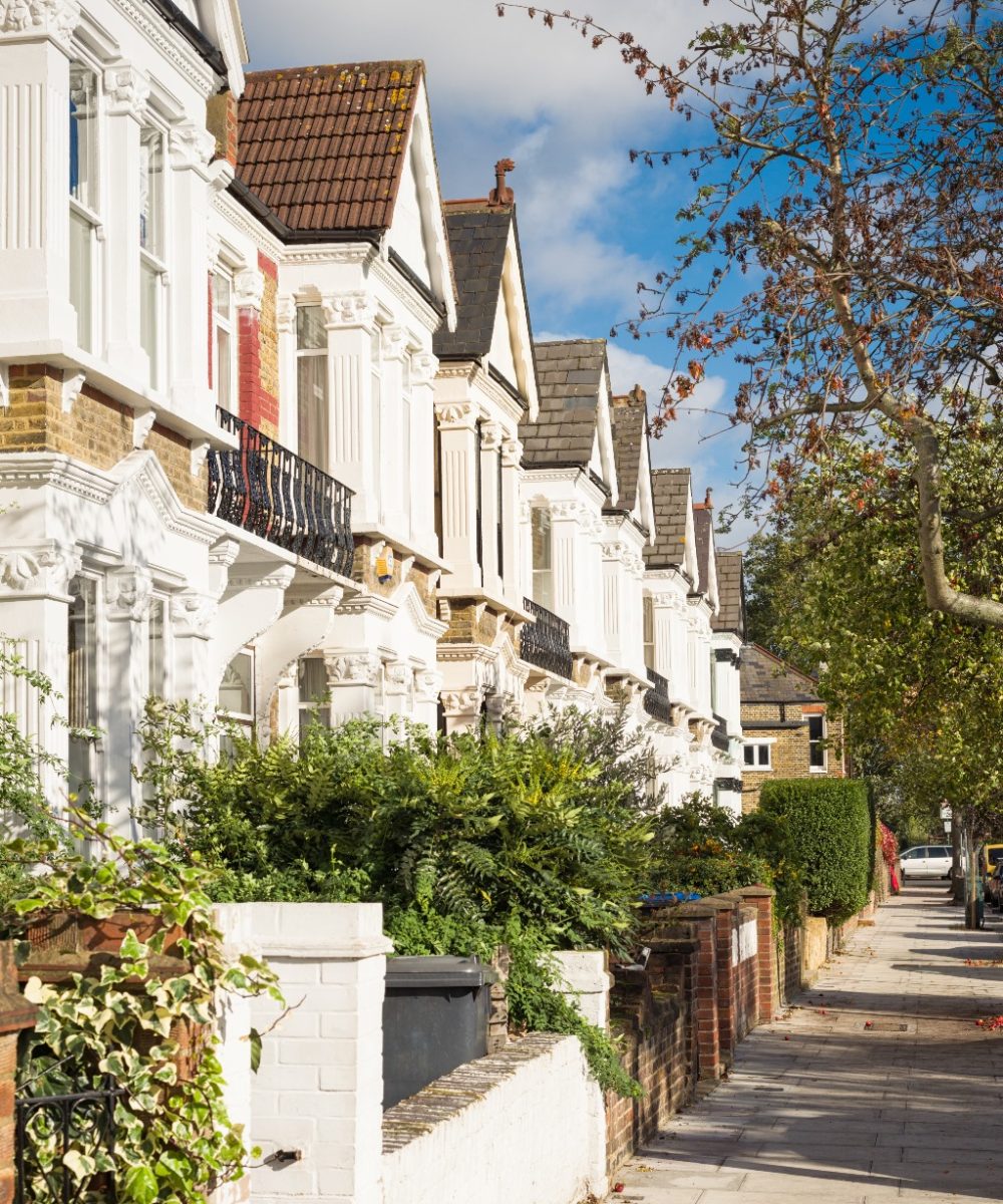 WhatsApp Image 2024-03-22 at 10.27.10 PM